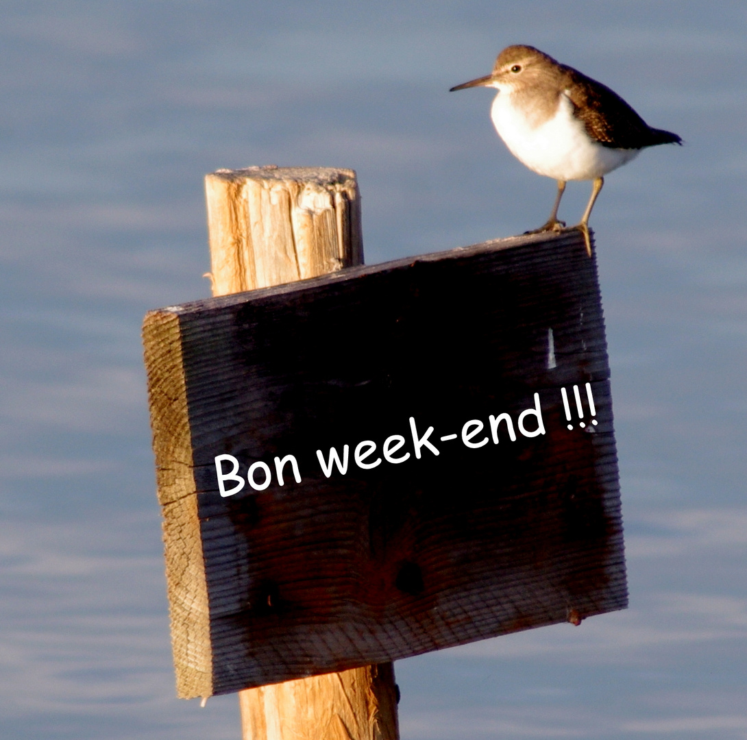 Bon week end ......