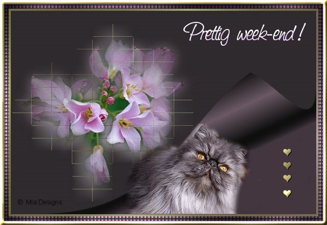 Bon week-end (Prettig week-end)