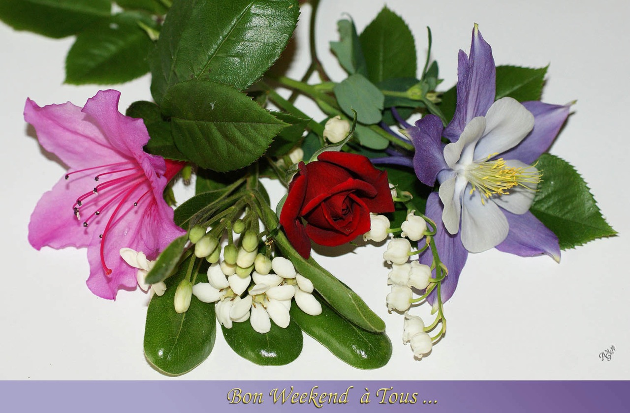 BON WEEKEND ENSOLEILLE A TOUS ..... photo et image | cartes de voeux,  inclassables, la rue, special Images fotocommunity