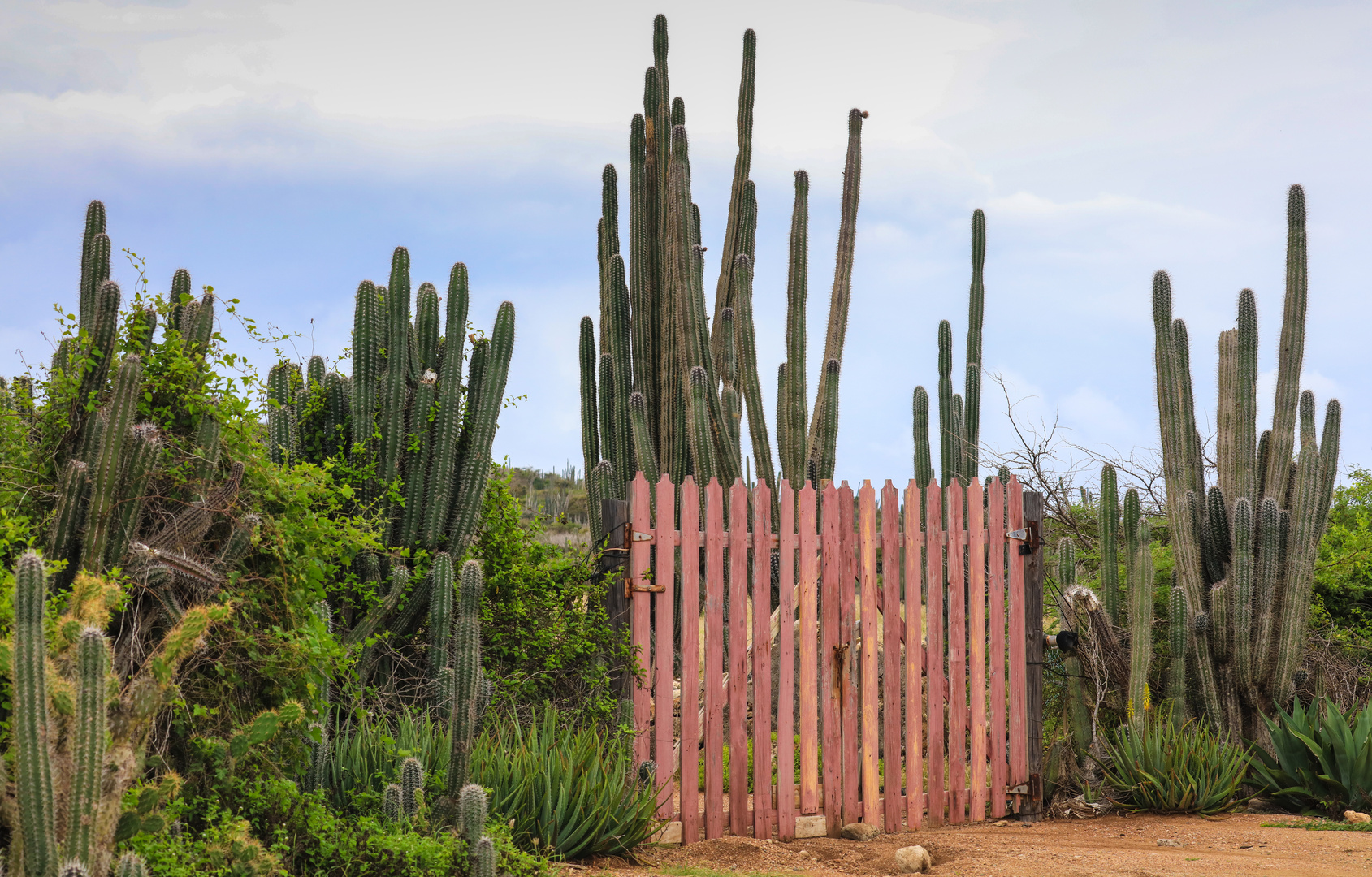 Bonaire 1