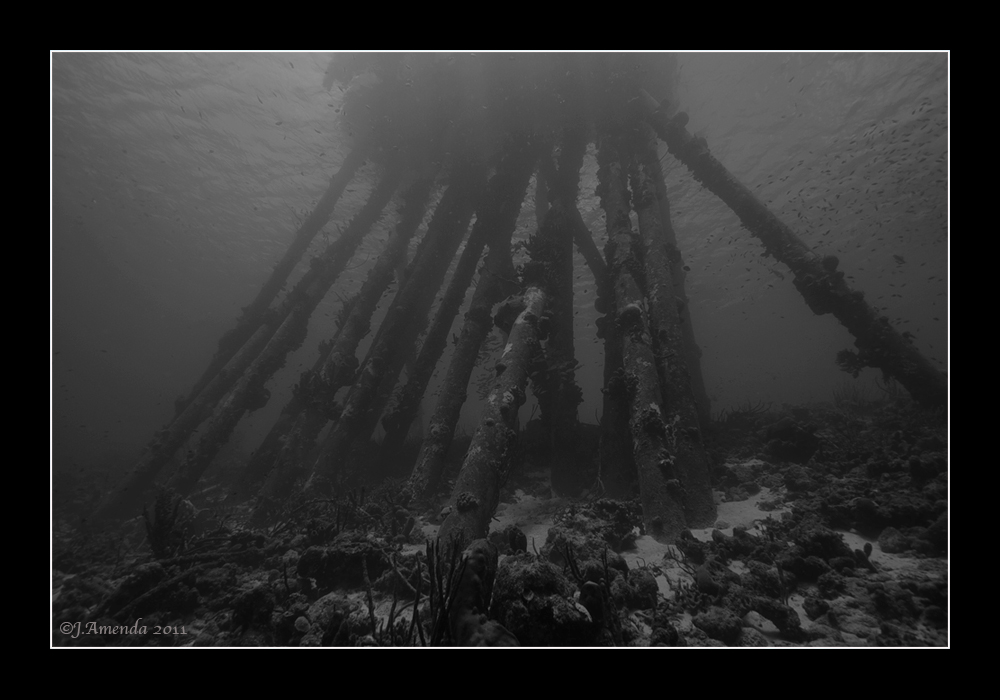 Bonaire 2011_4 # 2