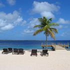 Bonaire beach in the morning