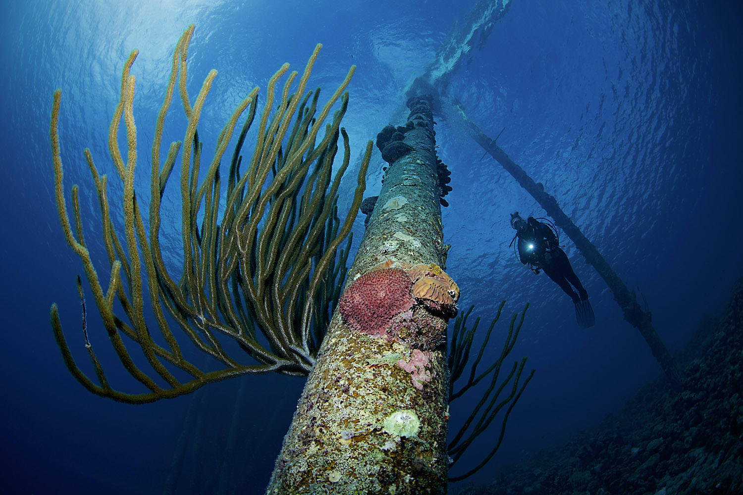 Bonaire_21_04