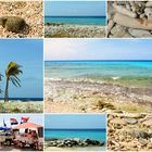 Bonaire_7