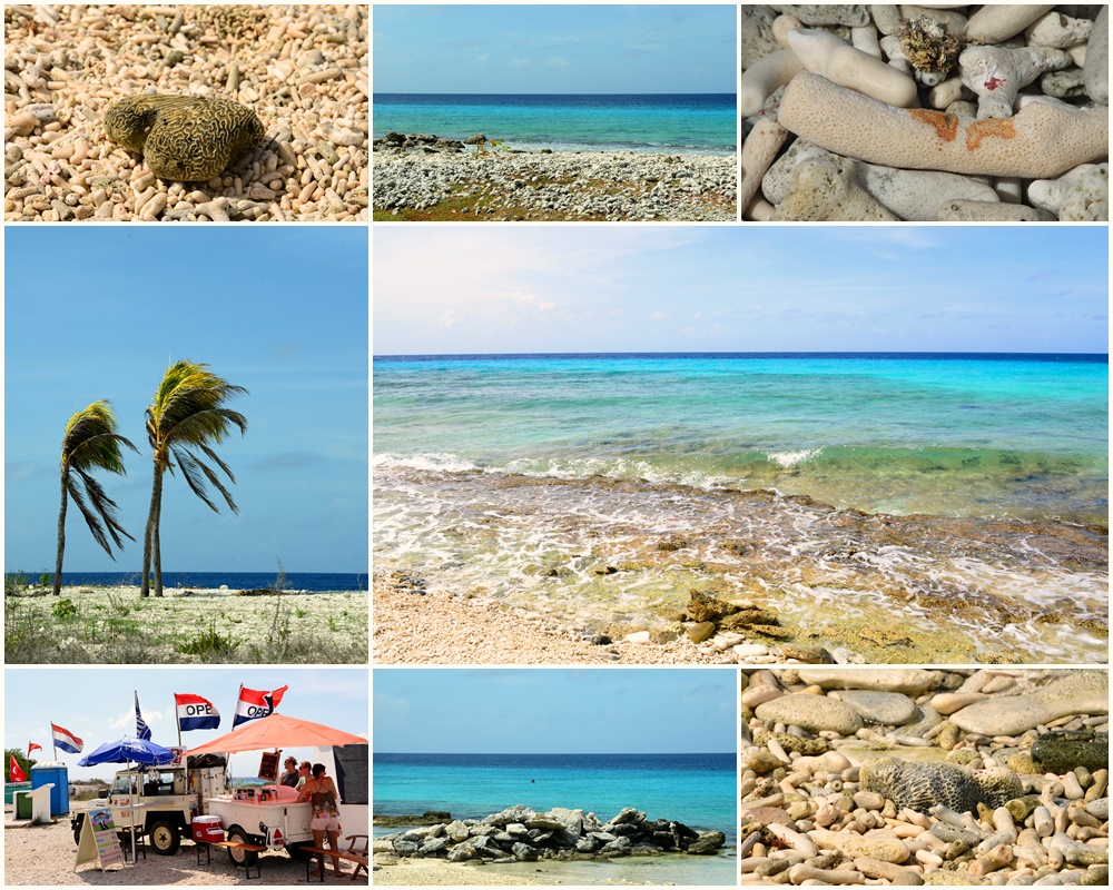 Bonaire_7