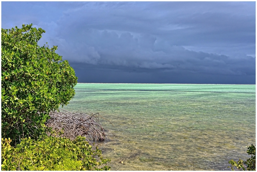 Bonaire_8 ...ein Tropenschauer ...