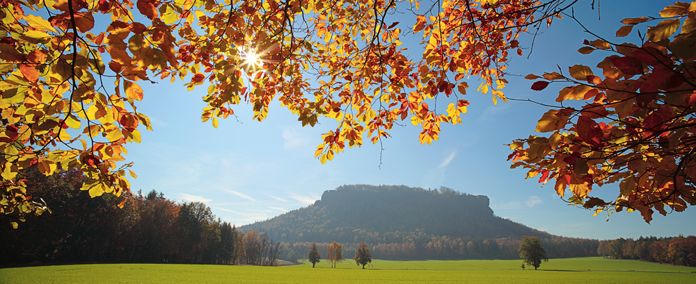 Bonbonfarbener Herbst ...