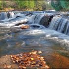 Bond Falls