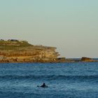 Bondi Beach #1