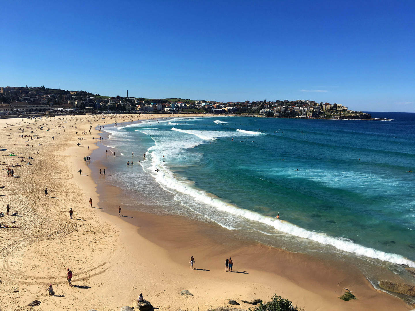 Bondi Beach