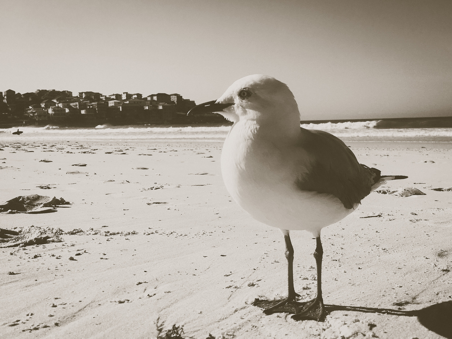 Bondi Beach Australia