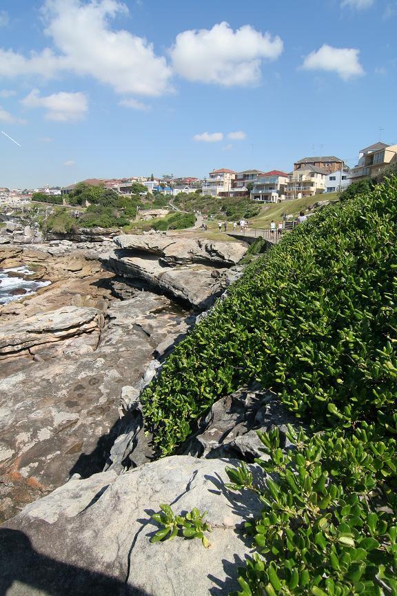 Bondi Beach Cliff Walk 1