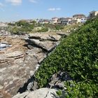 Bondi Beach Cliff Walk 1