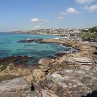 Bondi Beach Cliff Walk