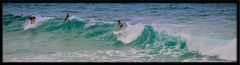 Bondi Beach Surfers