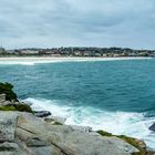 Bondi Beach Sydney