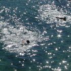 Bondi Beach Tide Pool