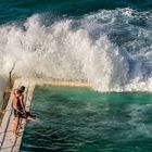 Bondi Icebergs - Sydney