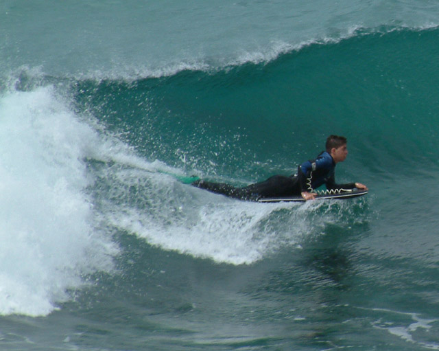 Bondi Surfer