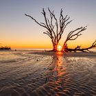 Boneyard Beach