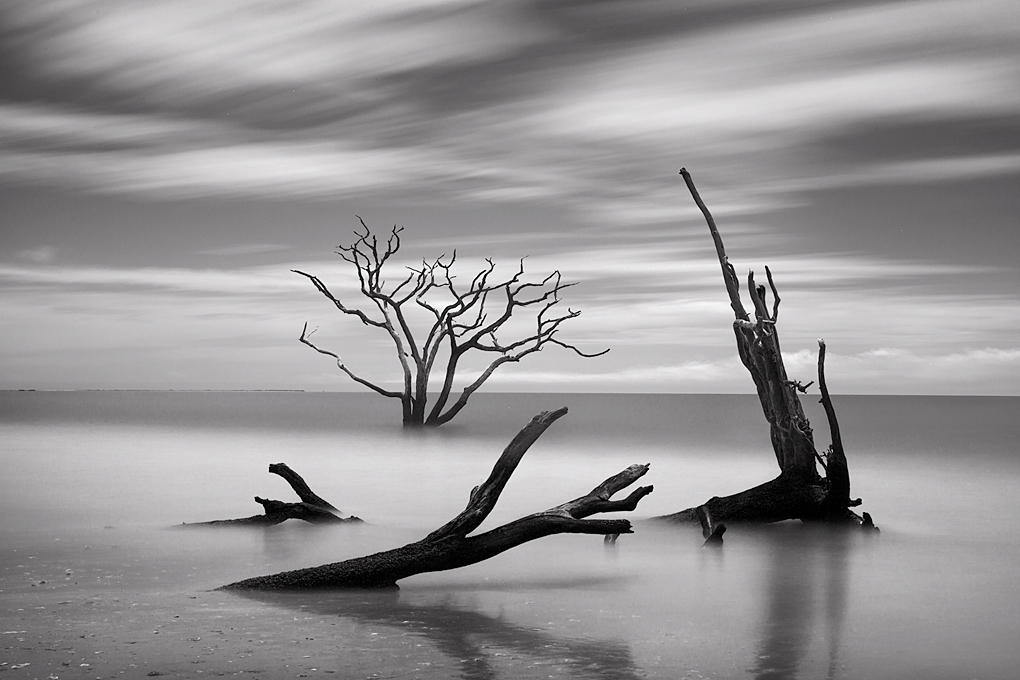 Boneyard Beach SC