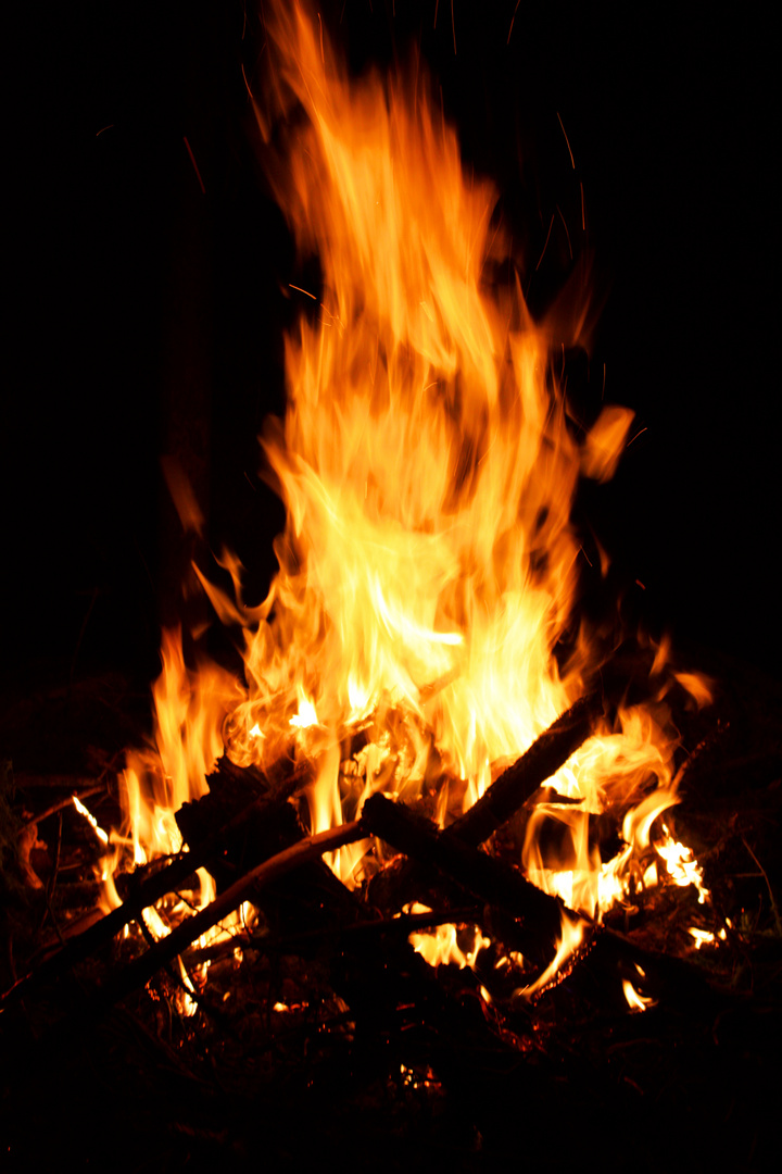 bonfire