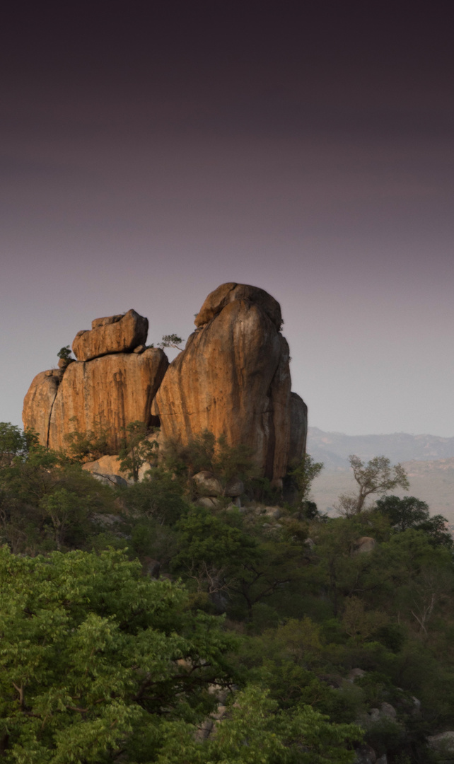 Bongani Safari 1