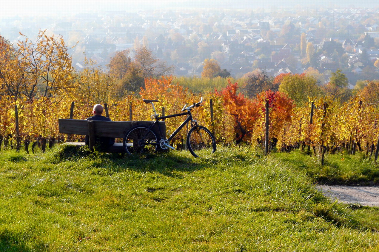 bonheur d'automne