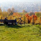 bonheur d'automne