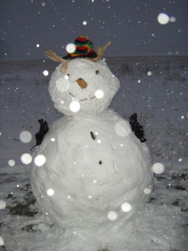 Bonhomme de neige ..