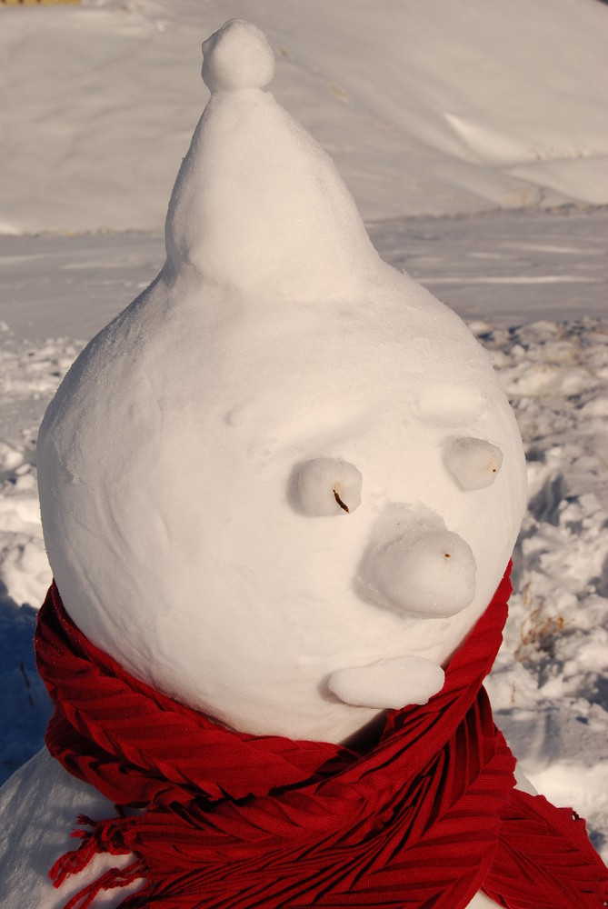 Bonhomme de neige