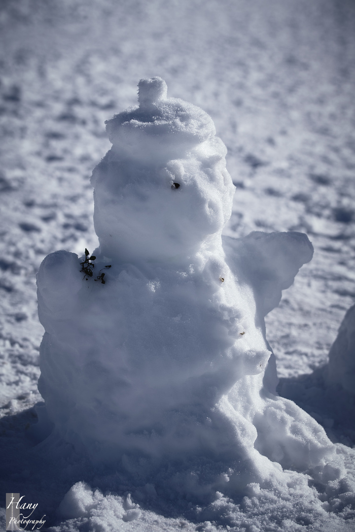 Bonhomme de neige