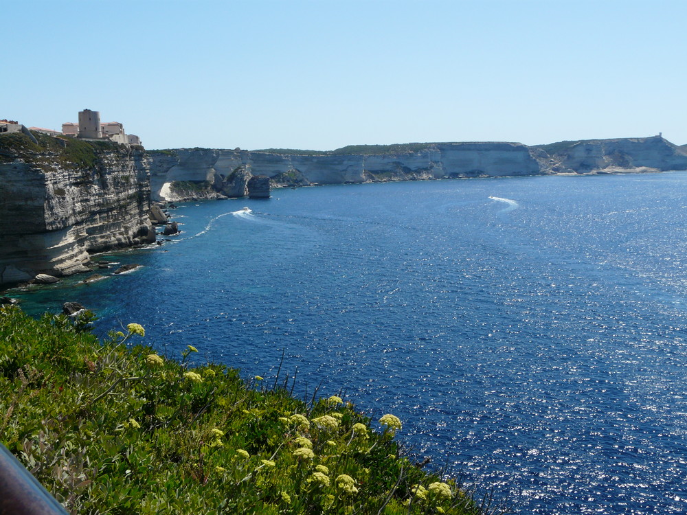 Bonifacio