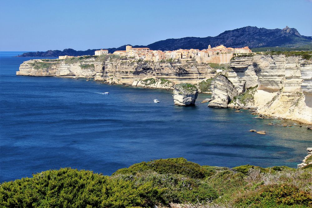 Bonifacio