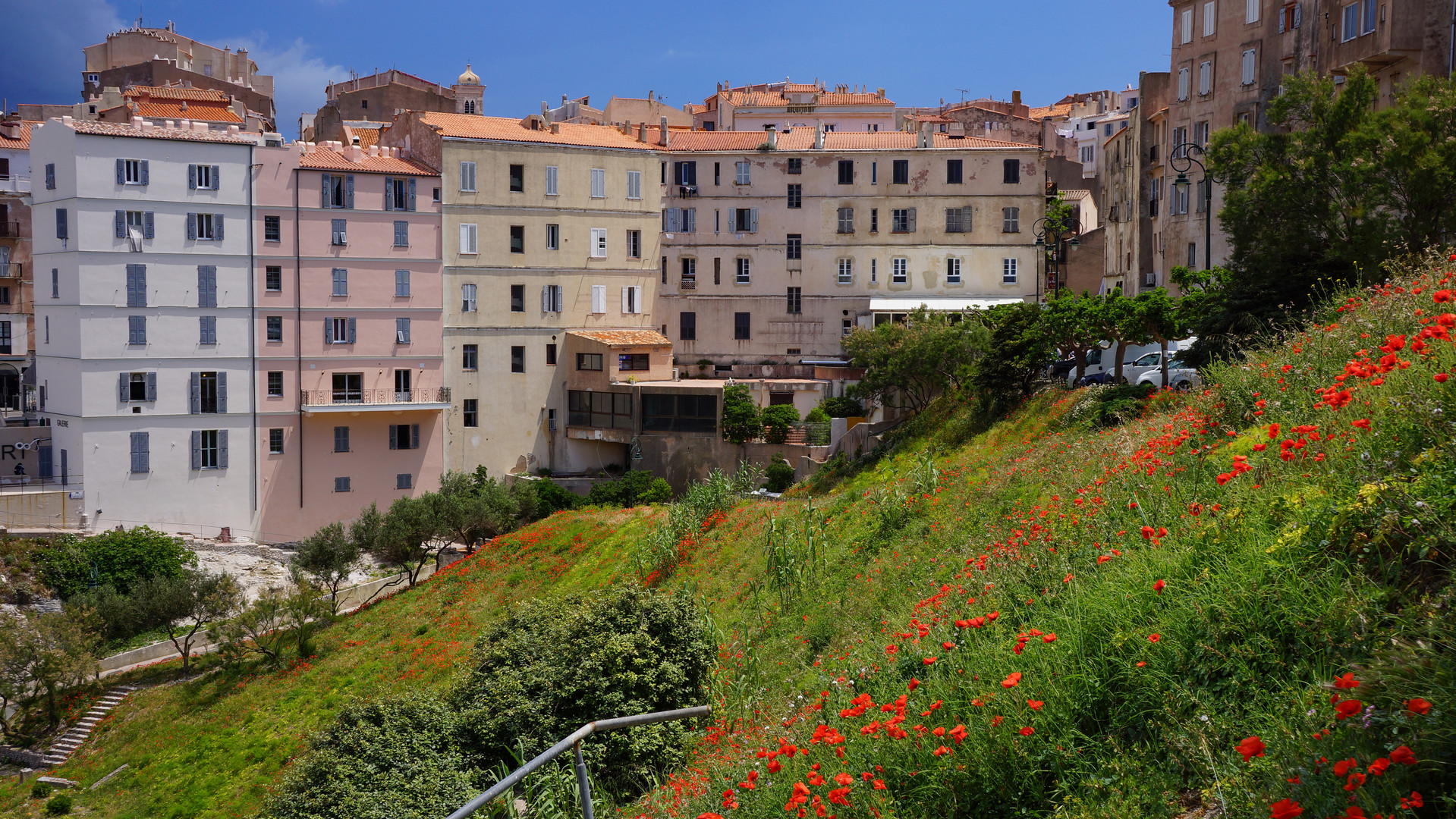 Bonifacio - Mohnwiese vor malerischer Häuserfassade