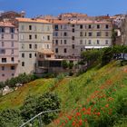 Bonifacio - Mohnwiese vor malerischer Häuserfassade