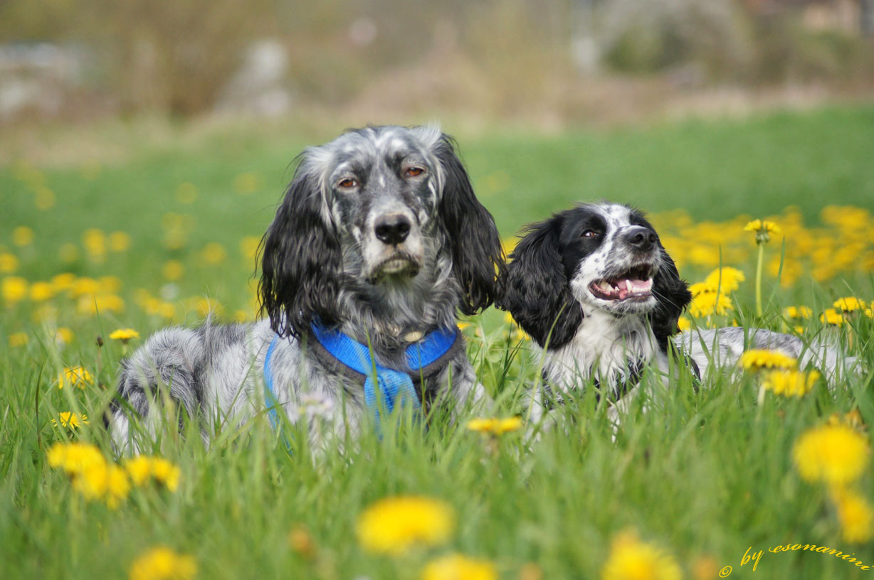 ' Bonita & Pepina '