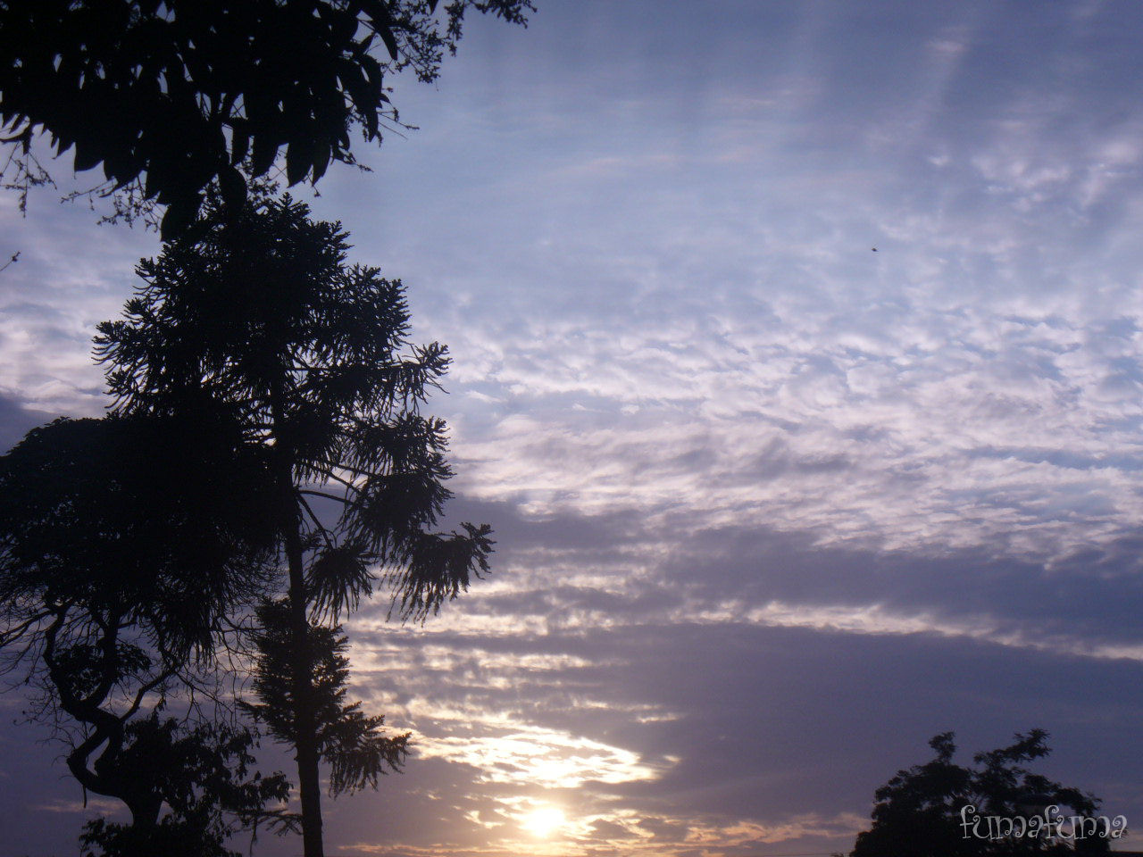 bonito amanecer en San Luis