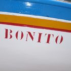 Bonito