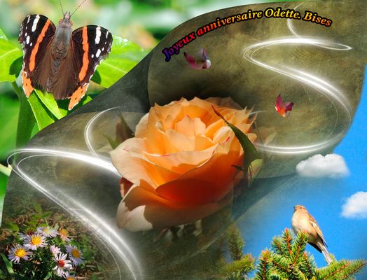 Bonjour Odette (Lefebvre)