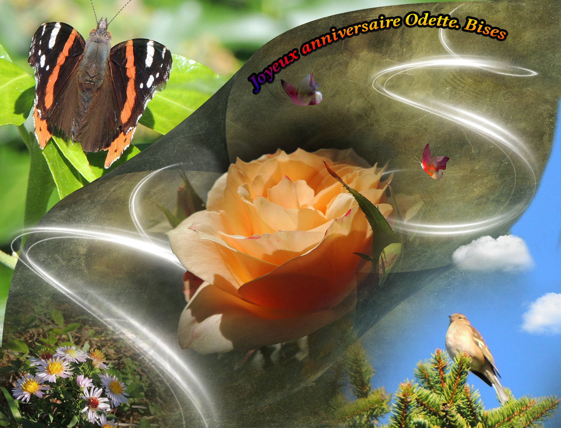 Bonjour Odette (Lefebvre)