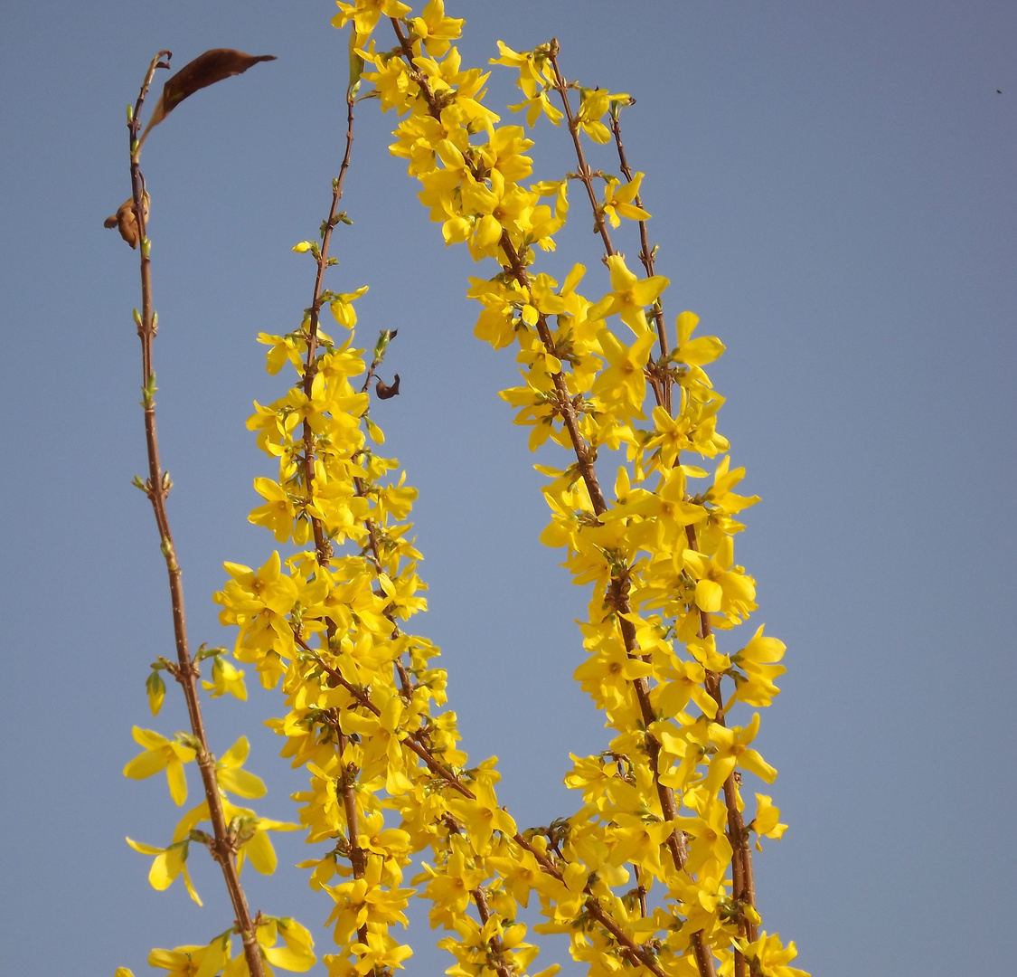 Bonjour printemps, au revoir hiver !