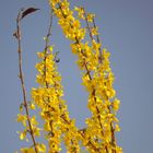 Bonjour printemps, au revoir hiver !