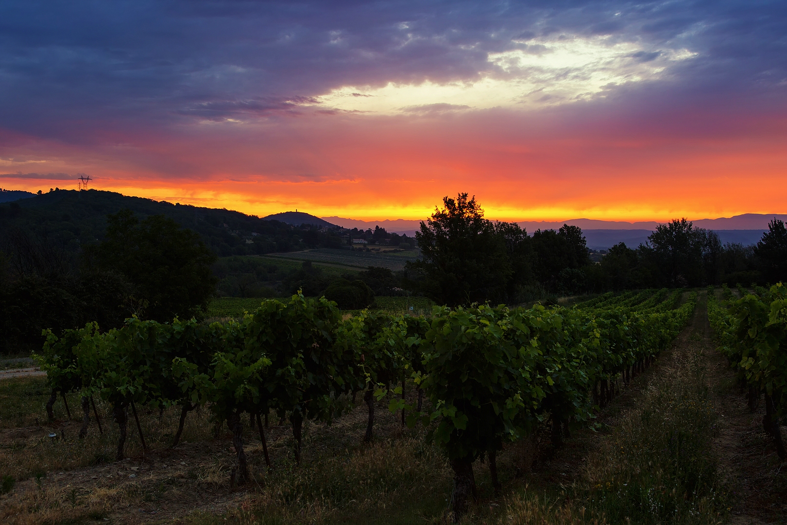 Bonjour Provence