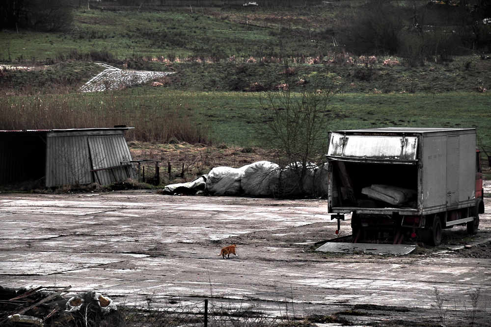 Bonjour tristesse° (Katers Sonntagsspaziergang)