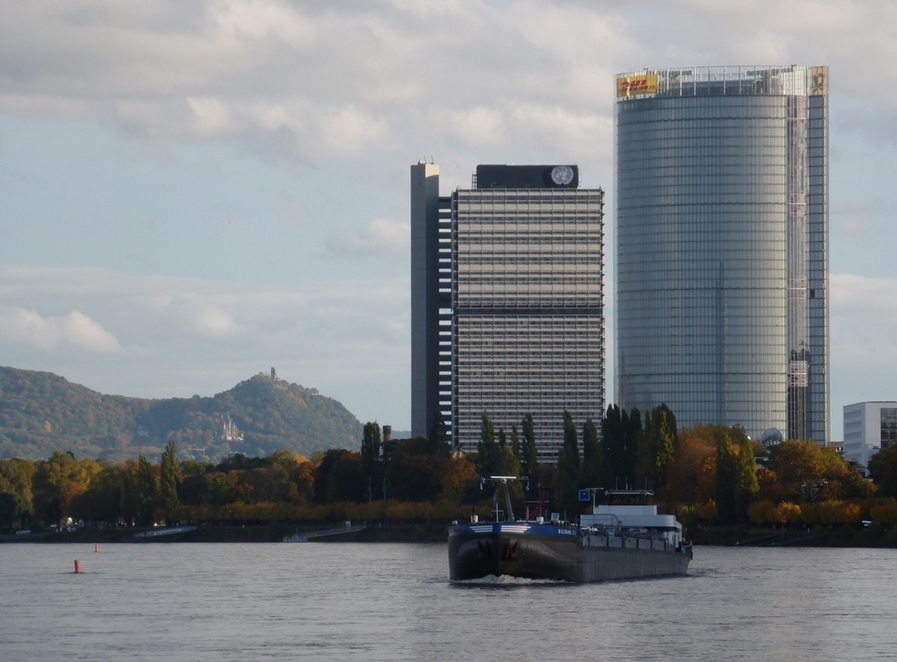 Bonn 2013