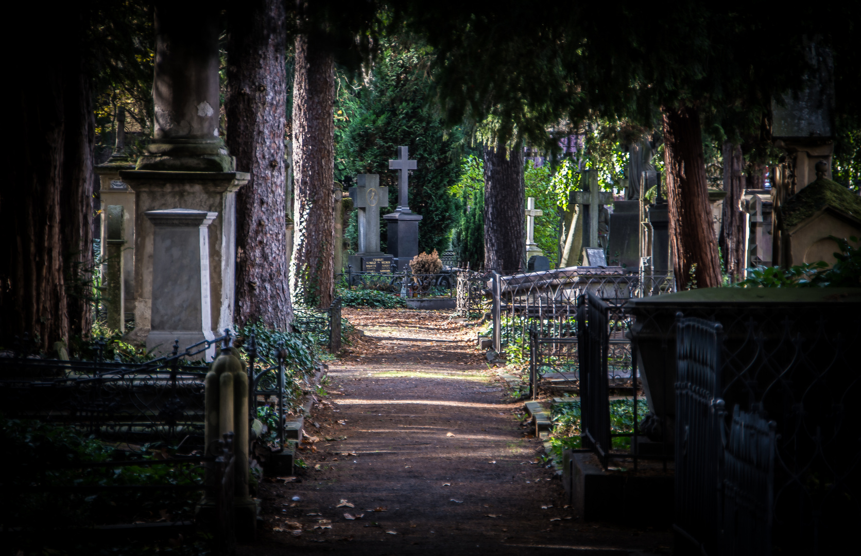 Bonn - Alter Friedhof 2