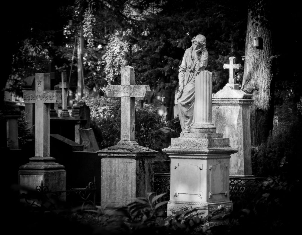 Bonn - Alter Friedhof 5