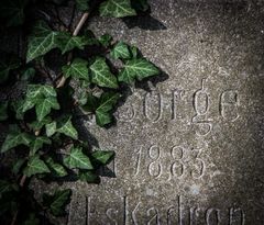 Bonn - Alter Friedhof 6