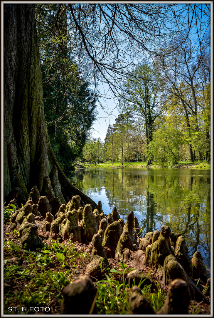 Bonn, am Schlosspark Poppendorf